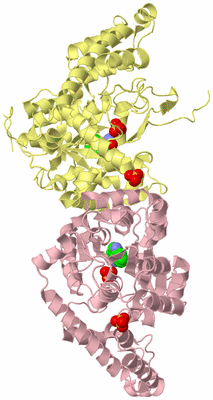 Image Biological Unit 2