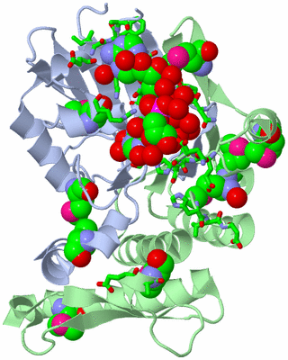Image Biol. Unit 1 - sites