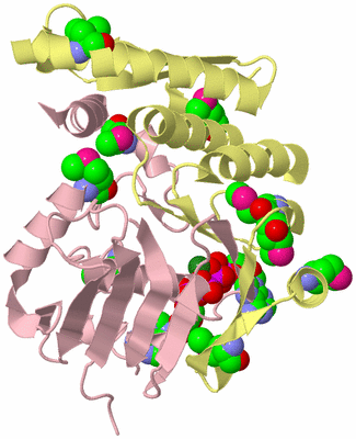 Image Biological Unit 2