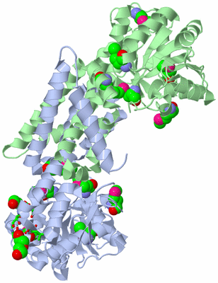 Image Biol. Unit 1 - sites