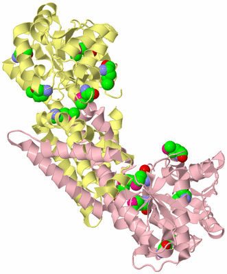 Image Biological Unit 2