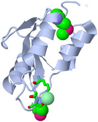 Image Biol. Unit 1 - sites