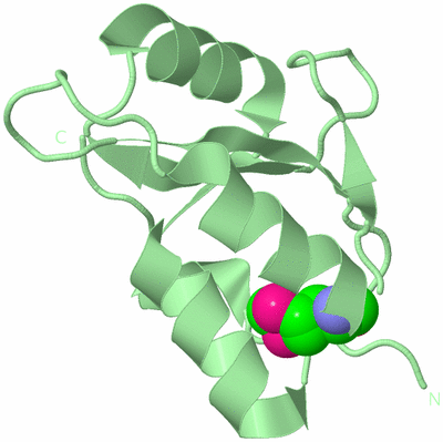 Image Biological Unit 2