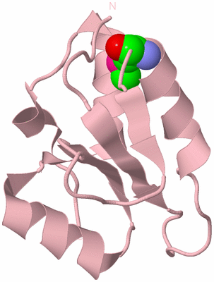 Image Biological Unit 3