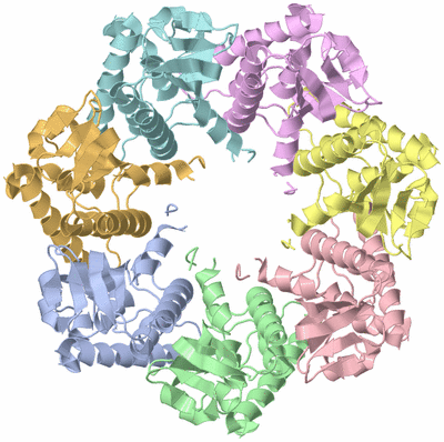 Image Asym./Biol. Unit