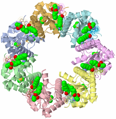 Image Asym./Biol. Unit