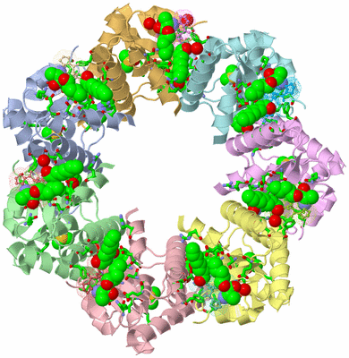 Image Asym./Biol. Unit - sites