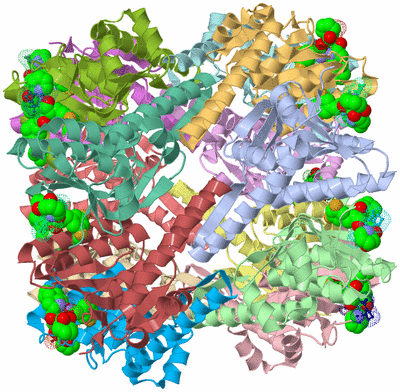 Image Asym./Biol. Unit