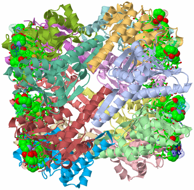 Image Asym./Biol. Unit - sites