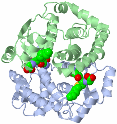 Image Asym./Biol. Unit