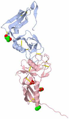 Image Biological Unit 1