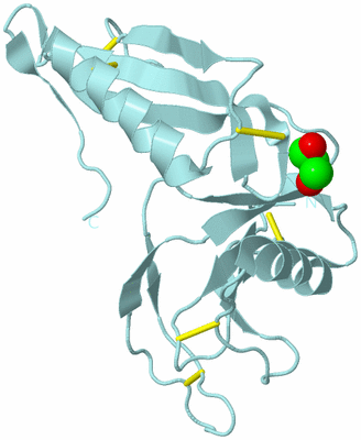 Image Biological Unit 10