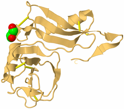 Image Biological Unit 11