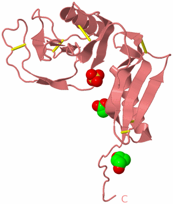 Image Biological Unit 12