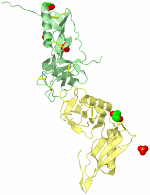 Image Biological Unit 2