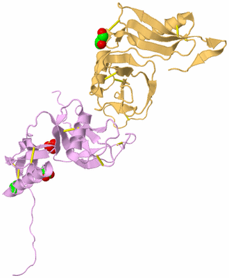 Image Biological Unit 4