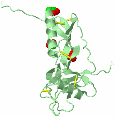 Image Biological Unit 6