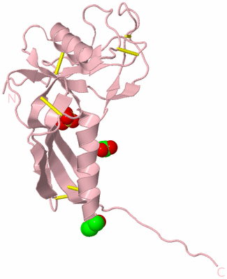 Image Biological Unit 7