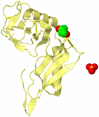 Image Biological Unit 8