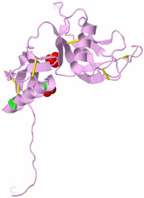 Image Biological Unit 9