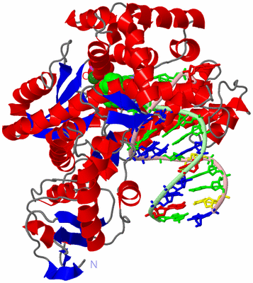 Image Asym./Biol. Unit