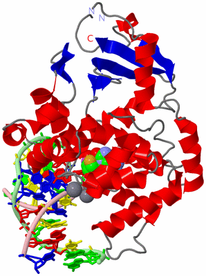 Image Asym./Biol. Unit