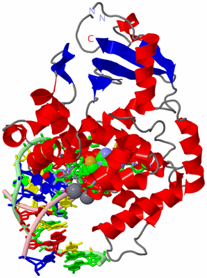 Image Asym./Biol. Unit - sites