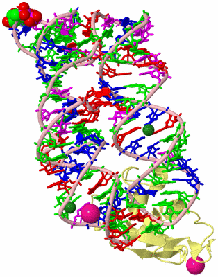 Image Biological Unit 2