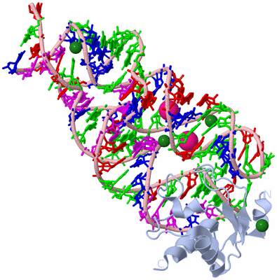 Image Biological Unit 1