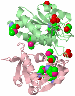 Image Biological Unit 2