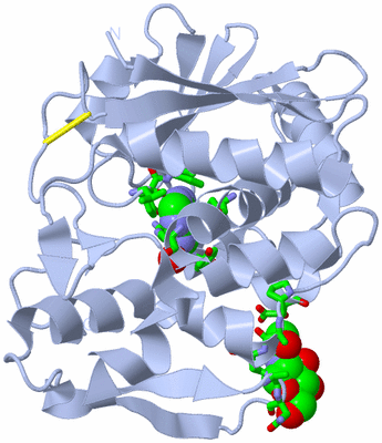 Image Biol. Unit 1 - sites
