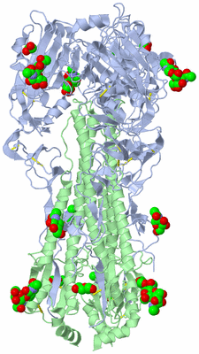 Image Biological Unit 1