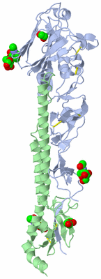 Image Asymmetric Unit