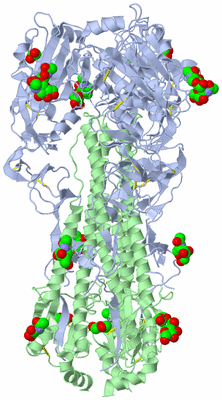 Image Biological Unit 1