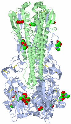 Image Biological Unit 1