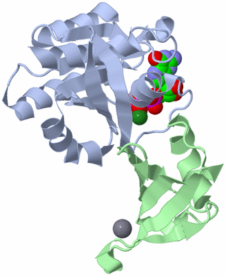 Image Asym./Biol. Unit