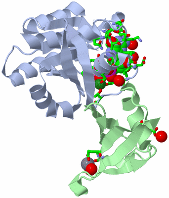 Image Asym./Biol. Unit - sites