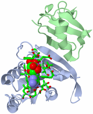 Image Asym./Biol. Unit - sites