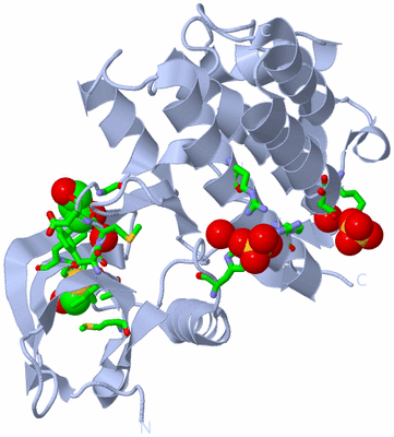 Image Biol. Unit 1 - sites