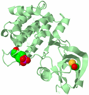 Image Biological Unit 2