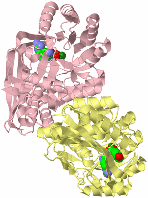 Image Biological Unit 2