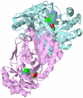 Image Biological Unit 3