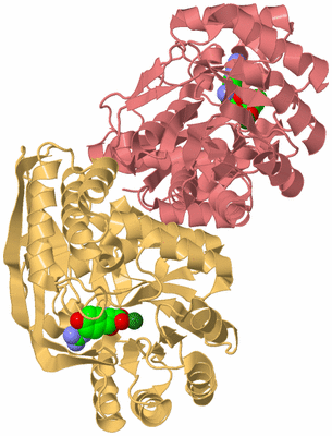 Image Biological Unit 4