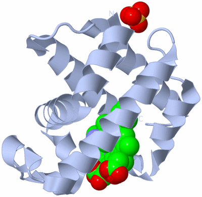 Image Biological Unit 1