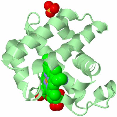 Image Biological Unit 2