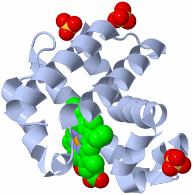 Image Biological Unit 1