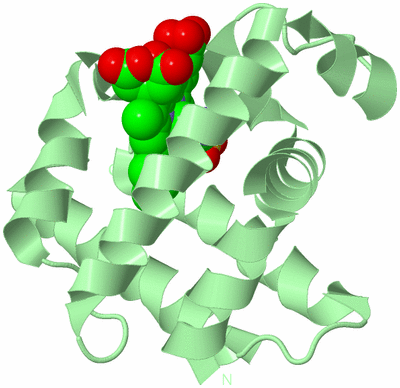 Image Biological Unit 2