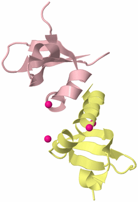 Image Biological Unit 2