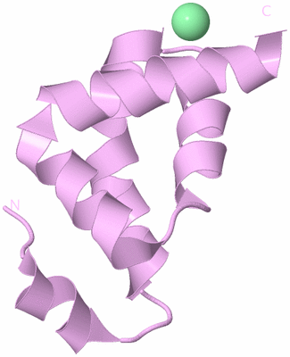 Image Biological Unit 5