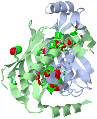 Image Asym./Biol. Unit - sites